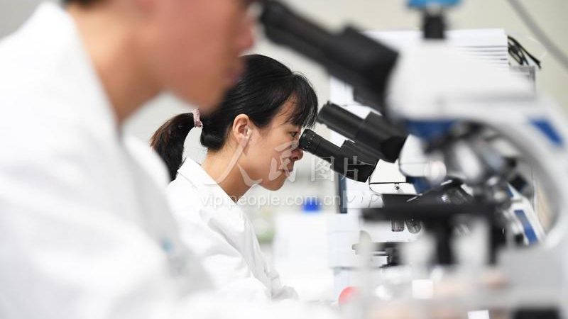 中小型生物医药外包实验室：如何甄别资质，保障研发质量**
