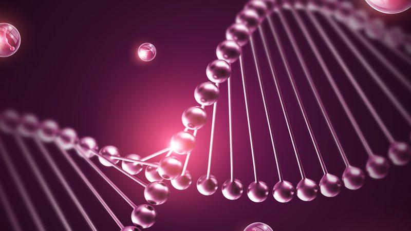 细胞培养实验室设备：如何避免操作失误与维护陷阱