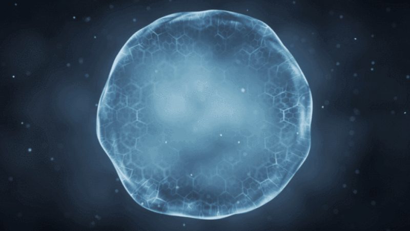 生物制品GMP认证，这些文件不可或缺**