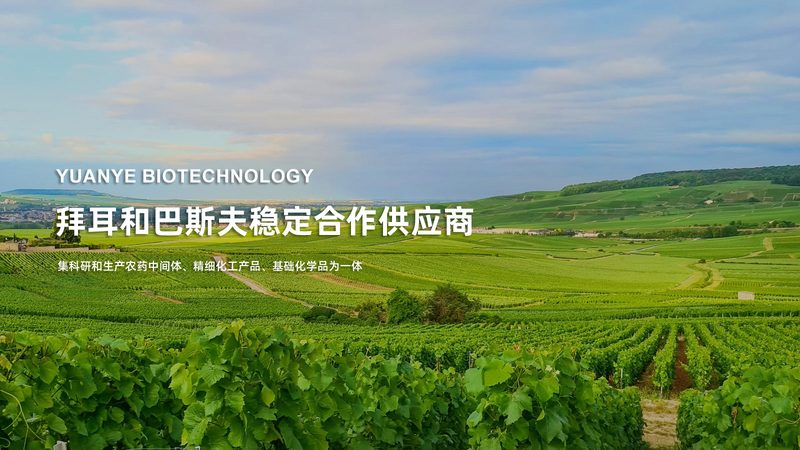 便携式基因测序仪：如何从参数与报价中洞察其核心价值**