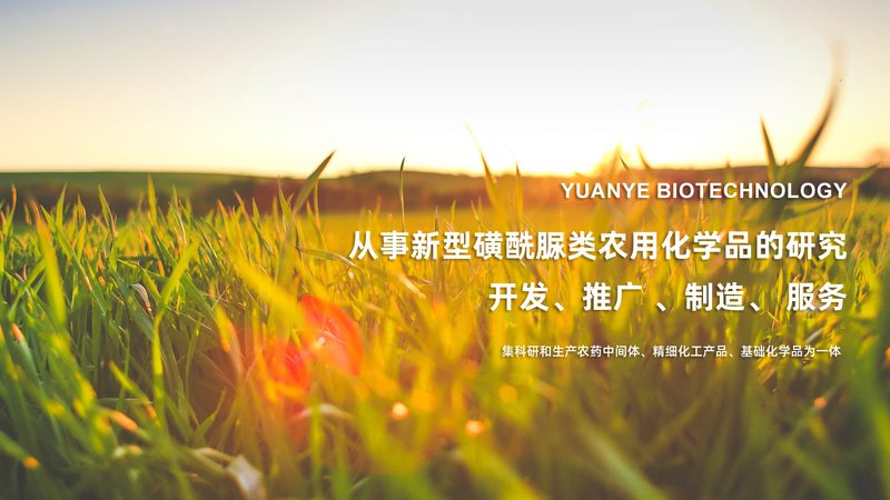 生物科技产品加盟连锁品牌，如何选择合适的合作伙伴？**