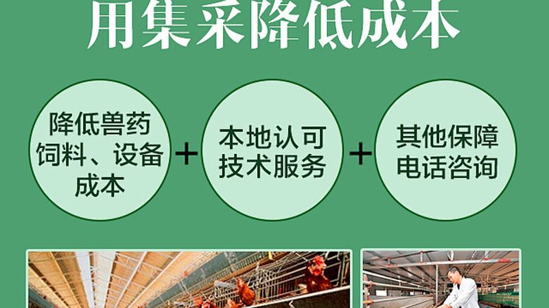 合成生物学细胞工厂与传统发酵：革新与传承的碰撞
