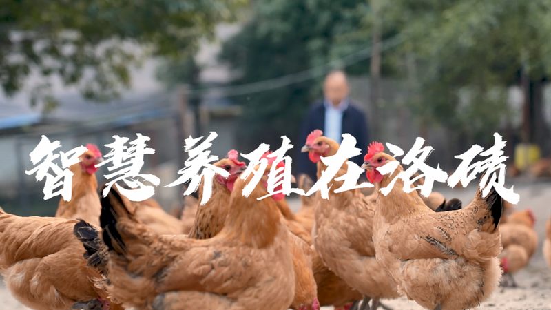 细胞工厂材质怎么分