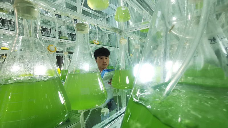 实验室离心管：如何选择合适的批发价格？**